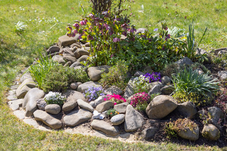Beautiful spring rock garden, composition of stones and various colorful blooming flowersの写真素材