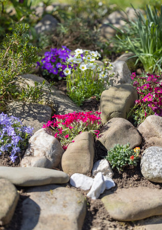 Beautiful spring rock garden, composition of stones and various colorful blooming flowersの写真素材