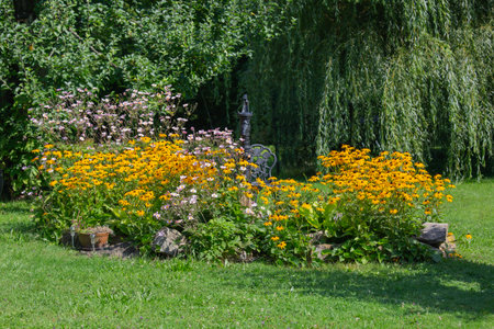 Beautiful colorful arrangement of summer garden, blooming flowers of Rudbeckia and Japanese anemone, natural landscapeの写真素材