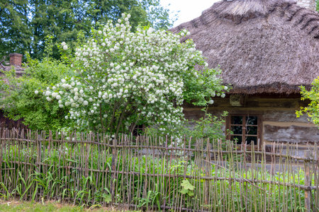 Lublin, Poland - May 23, 2022: Lublin Open Air Village Museum with monuments of architecture and ethnographic collections from the area of former Lublin Province.のeditorial素材