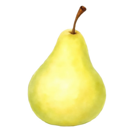 A watercolor illustration of a single, ripe yellow pear with a brown stem. The fruit has a smooth, rounded shape and a subtle sheen. It is depicted against a plain white background, highlighting its natural form.の写真素材