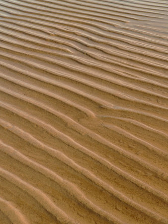 The background of the littoral zone.