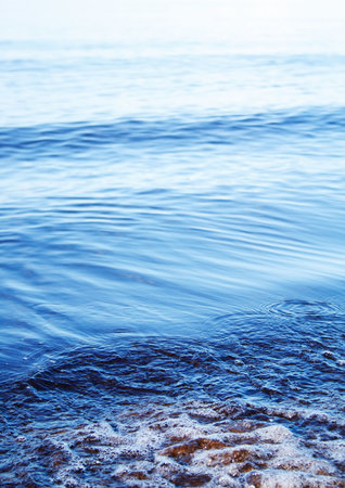 The surface of a lake.