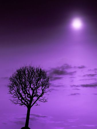 The incredible purple sky and lonely tree.の写真素材