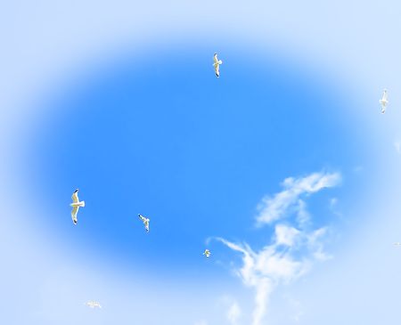 The seagulls soaring against the sky.の写真素材
