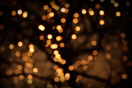 The defocused illumination on a tree.の写真素材