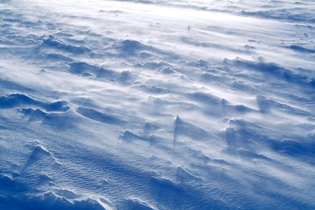 The movement of snow at the time of snowstorm.の写真素材