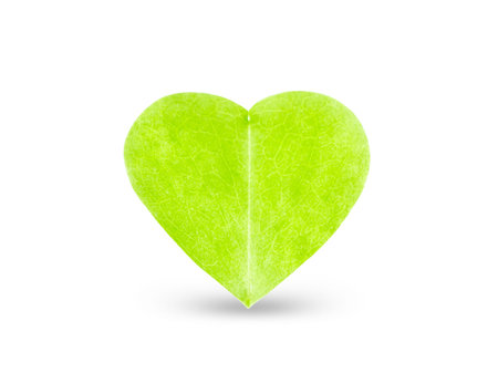 Green leaf in the shape of a heart.