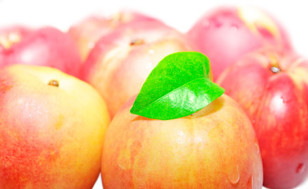 Fresh nectarines close up on white.の写真素材