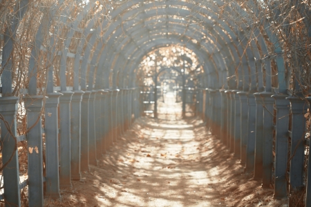 Archway in the garden in autumn の写真素材