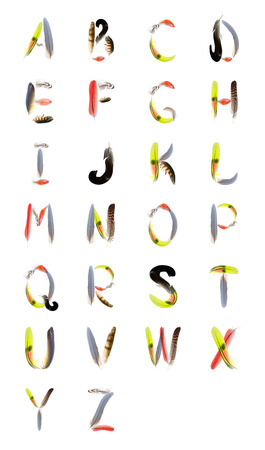 typographics - alphabet from feathers of birdsの写真素材
