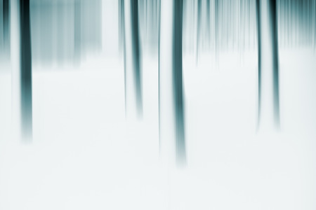 fairy forest in winter, vertical blur effectの写真素材