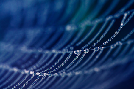 Spider Web with water drops close upの写真素材