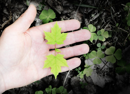 protecting a new life in a forest