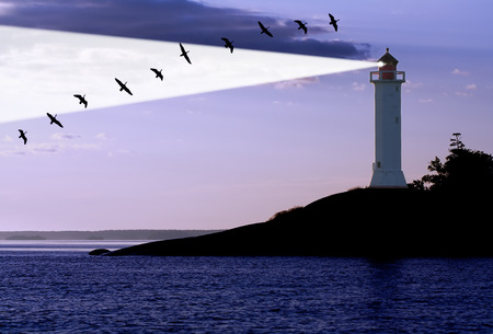 lighthouse and migration gooses at the sunriseの写真素材