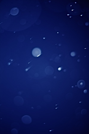 the christmas snowfall in the evening, natural photographyの写真素材