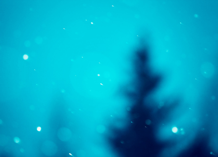 christmas snowfall and blurred christmas tree on background in the evening, natural photographyの写真素材