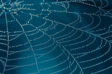 The Spider Web close up.の写真素材