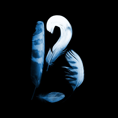 alphabet - letter B from bird feathers, x-ray effectの写真素材