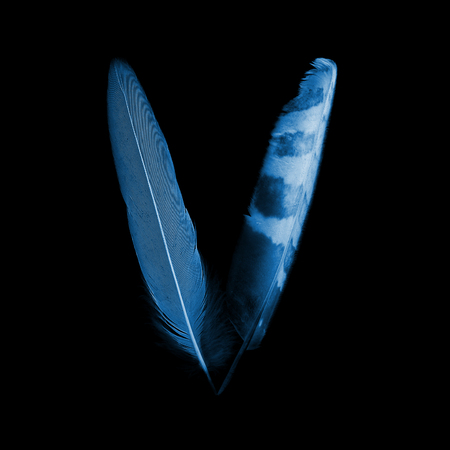 alphabet - letter V from bird feathers, x-ray effectの写真素材