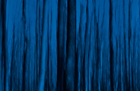 fairy forest at night, vertical blur effectの写真素材