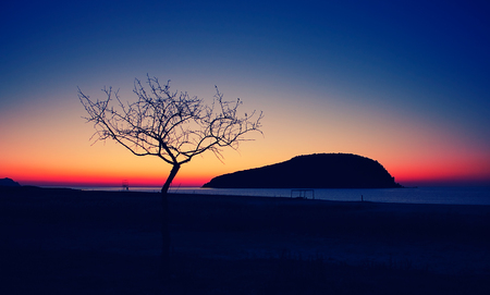silhouettes of a lonely tree and far island in the Japanese sea at sunriseの写真素材