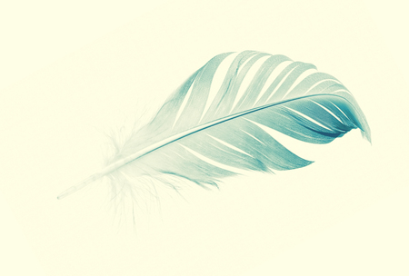 pen feather on soft yellow background, vintage style photographyの写真素材