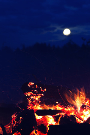 camp fire in the forest at nightの写真素材