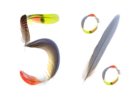 symbol of 5 % from natural feathers of birds. this element can to use for illustrate of a discounts, earnings, incomes, sales, payments, investments, taxes and othersの写真素材