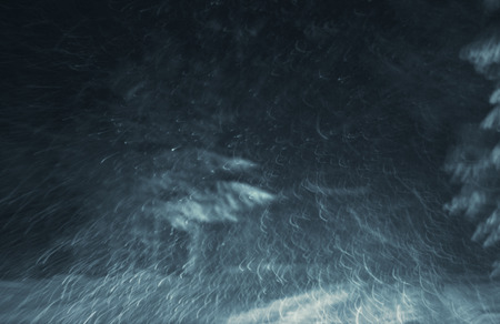 snowstorm on a country road at night, view from a car, natural photographyの写真素材