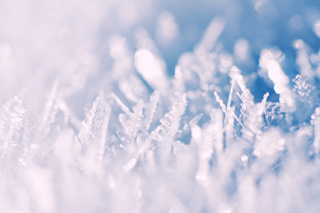 snowflakes on a snow surfaceの写真素材