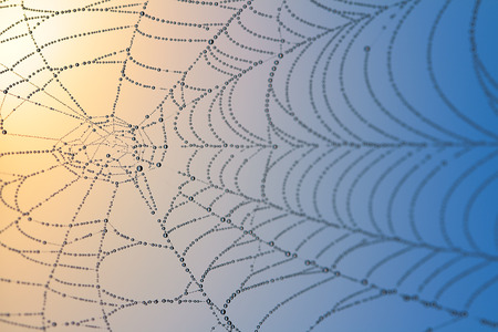 The Spider Web at sunrise.の写真素材