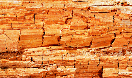 background of a mouldering wood close upの写真素材