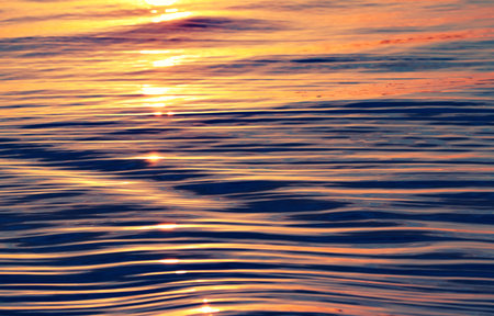 sea wave close up at sunset, low angle view