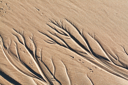 abstract sand ornament on the sea beachの写真素材
