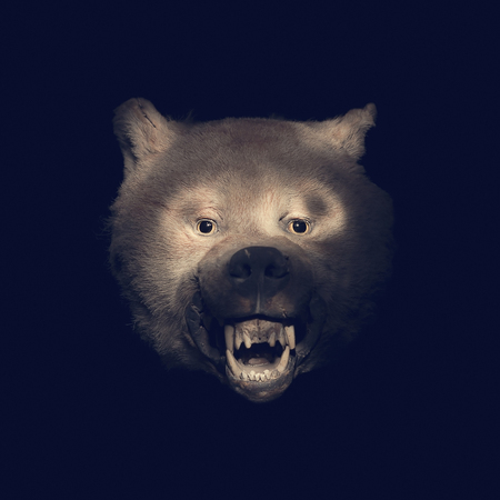 wolf scarecrow closeup in the darkの写真素材