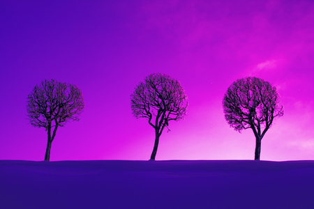 The line of trees at sunset.の写真素材