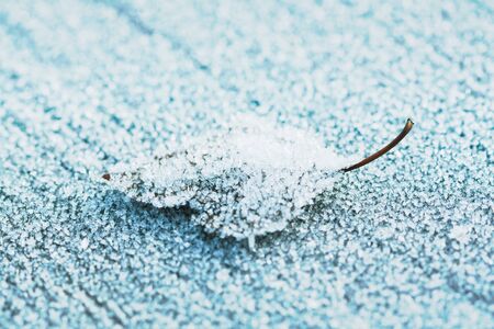 season specific, old frozen leaf on a wooden boardの写真素材