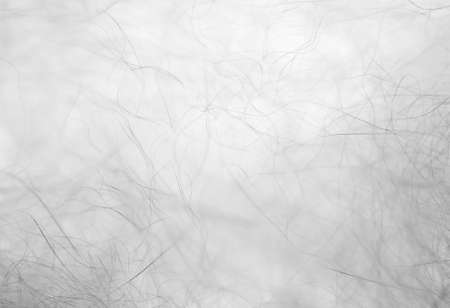 white texture animal fur background, black and whiteの写真素材