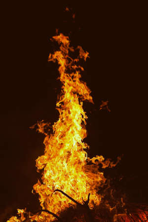 wild vacation, campfire in the nightの写真素材