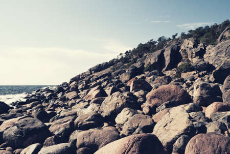 the Baltic sea shore in summer, top viewの写真素材