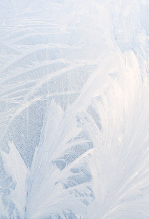 white frost on a windowpane