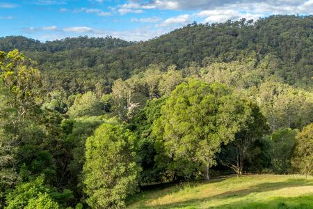 Thick forest surrounds a small house. Bright green trees with fluffy clouds on a sunny dayの写真素材