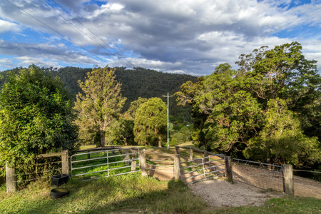 Rural property in Australia, gate leads to dirt tracks and woodlands large tree covered hill in the distanceの写真素材
