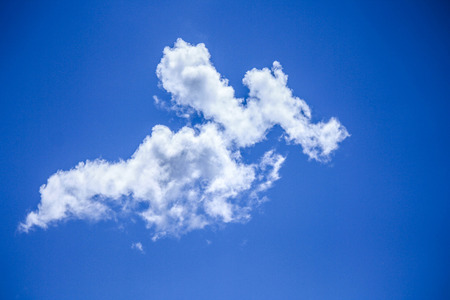 Bright skies  and fresh airの写真素材