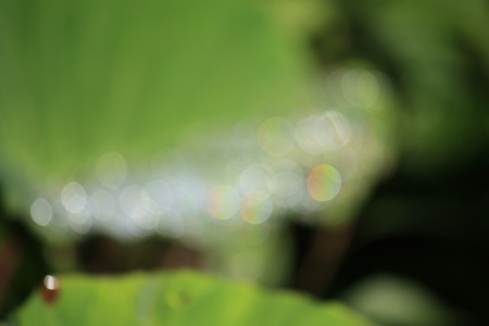 blur backgroundの写真素材