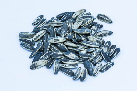 sunflower seedsの写真素材