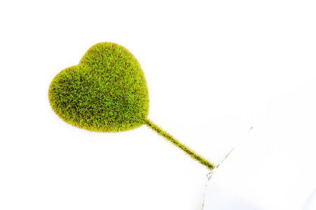 Heart-shaped tree on white backgroundの写真素材