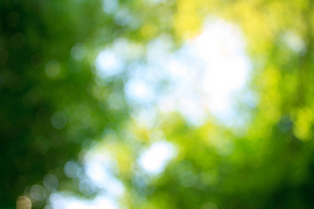 blur color for backgroundの写真素材