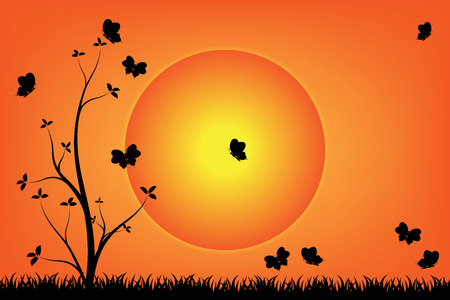 butterflies and tree in the garden during sunset and orange sky.のイラスト素材
